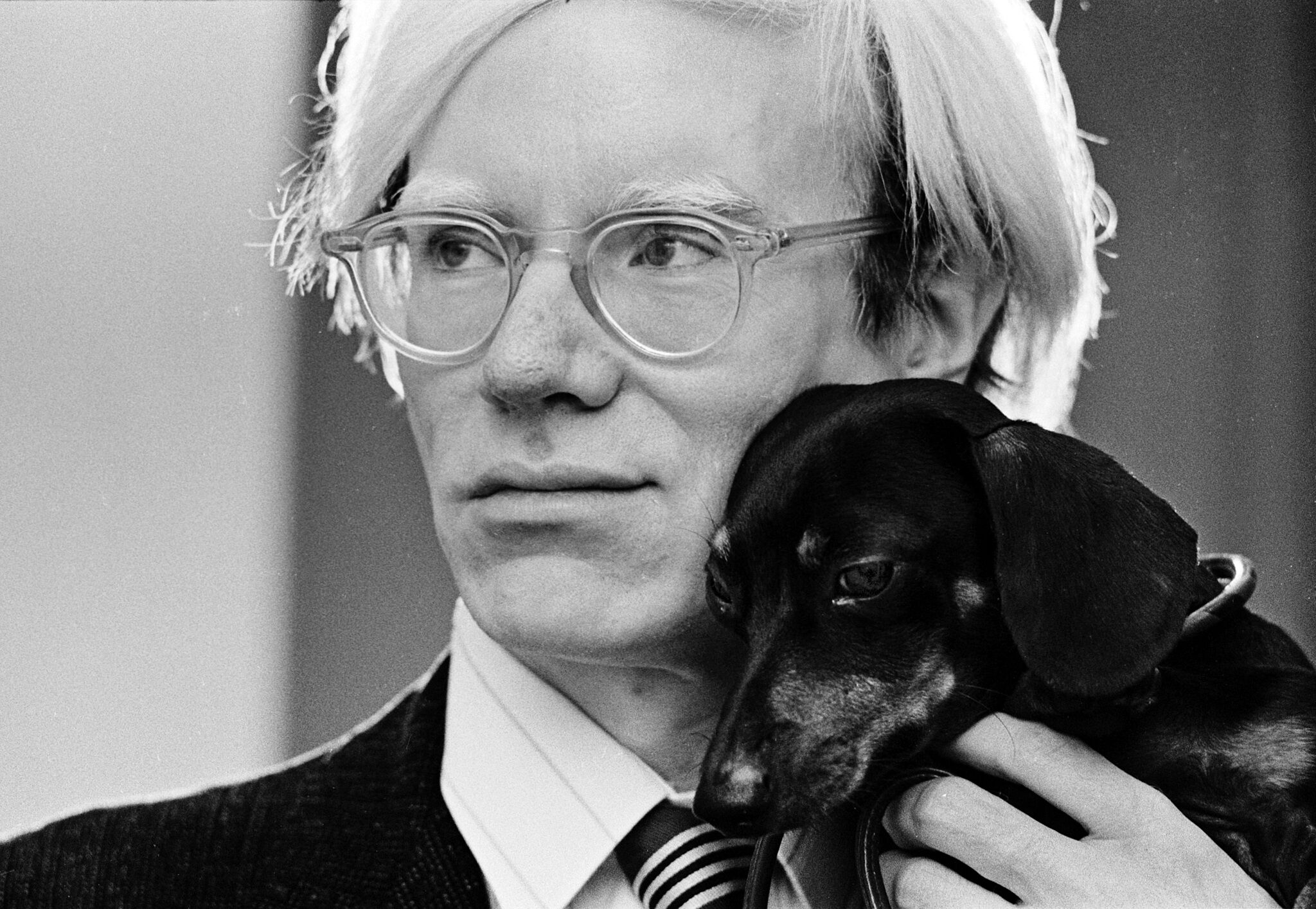 Discovering Andy Warhol’s Canine Companions