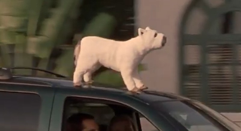 Iconic Dog Moments in There’s Something About Mary